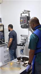 תמונה שצולמה להמחשת העבודות של דוקטור וטרינרי - doctor veterinary | מרפאה, מספרת חיות, מזון לחיות - 3 תמונה של דוקטור וטרינרי - doctor veterinary | מרפאה, מספרת חיות, מזון לחיות