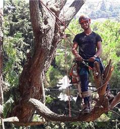 תמונה שצולמה להמחשת העבודות של אורי גיזומים תמונה של אורי גיזומים