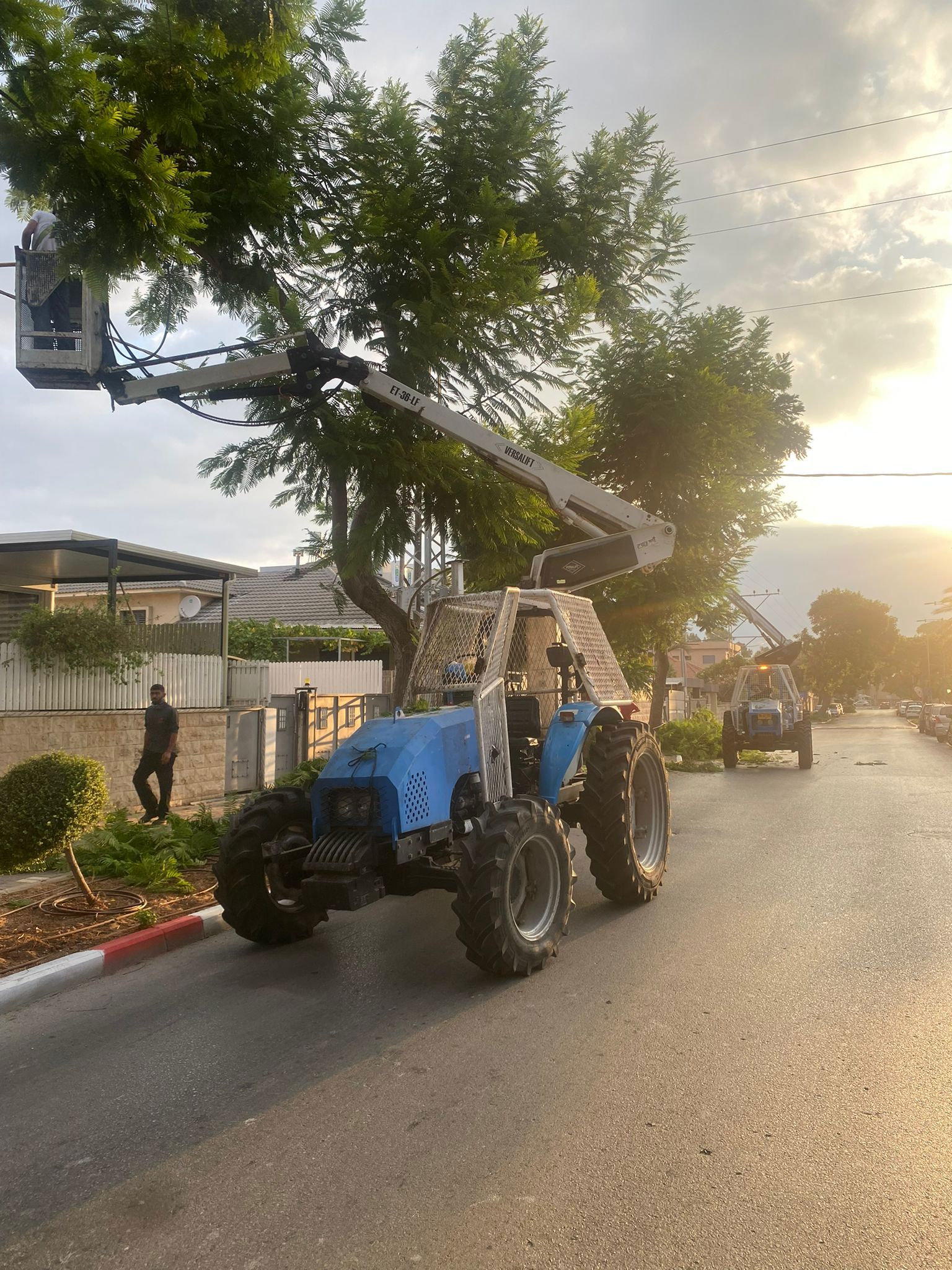 תמונה שצולמה להמחשת העבודות של אורי גיזומים תמונה של אורי גיזומים