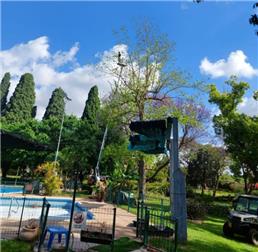 תמונה שצולמה להמחשת העבודות של אורי גיזומים תמונה של אורי גיזומים