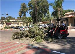 תמונה שצולמה להמחשת העבודות של אורי גיזומים תמונה של אורי גיזומים