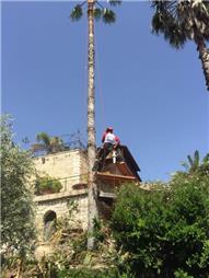 תמונה שצולמה להמחשת העבודות של אורי גיזומים תמונה של אורי גיזומים