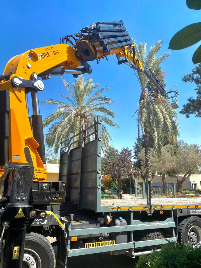 תמונה שצולמה להמחשת העבודות של אורי גיזומים תמונה של אורי גיזומים