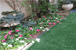 תמונה שצולמה להמחשת העבודות של חנוך גינון והדברות תמונה של חנוך גינון והדברות