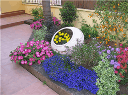 תמונה שצולמה להמחשת העבודות של חנוך גינון והדברות תמונה של חנוך גינון והדברות