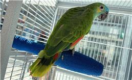 תמונה שצולמה להמחשת העבודות של Crazy Zoo- חניה חינם ללקוחות תמונה של Crazy Zoo- חניה חינם ללקוחות