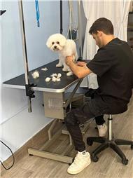 תמונה של סלון דוגוז - Salon doggoz