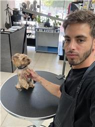 תמונה של סלון דוגוז - Salon doggoz