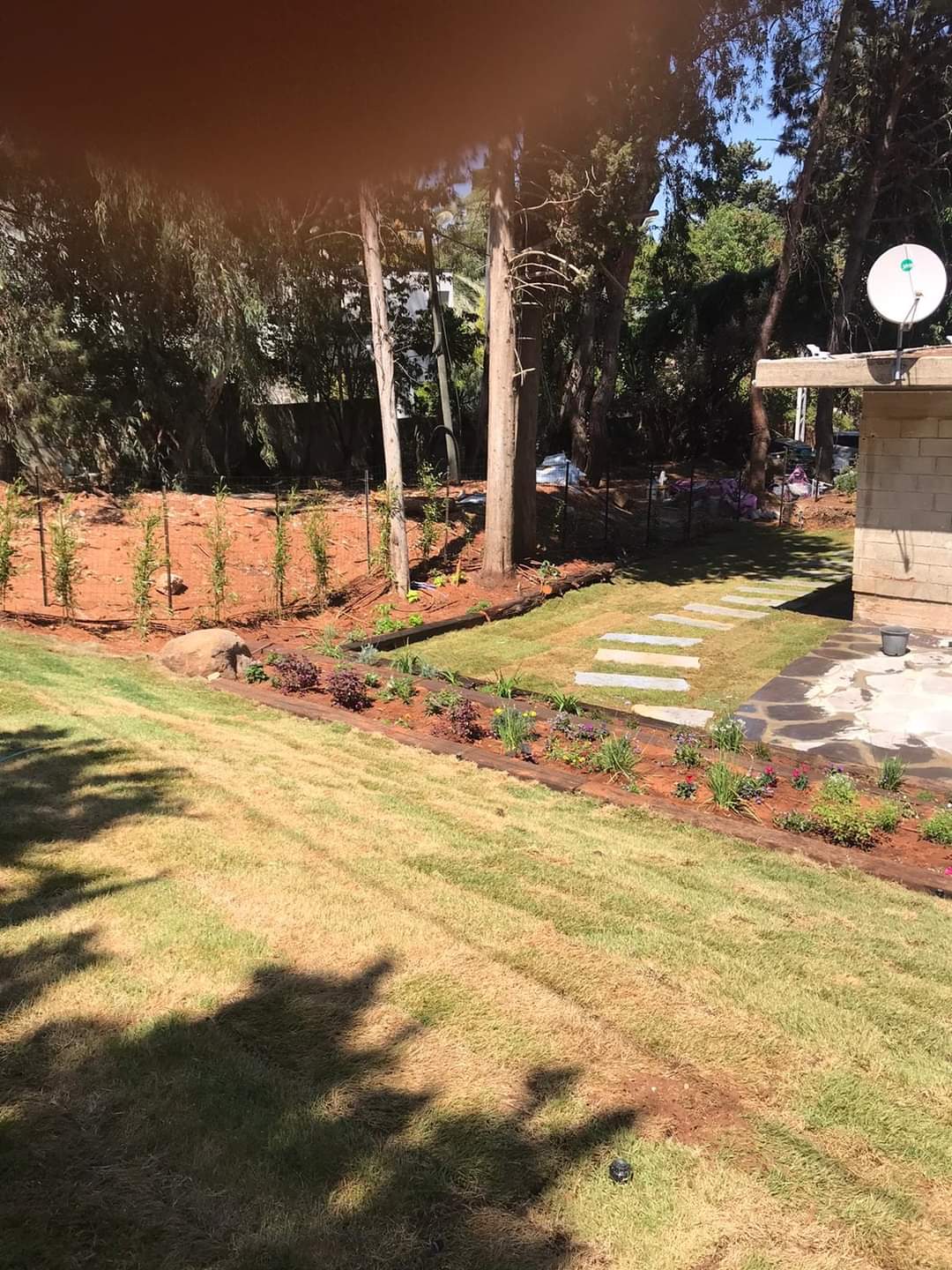 תמונה שצולמה להמחשת העבודות של פרח בגן תמונה של פרח בגן