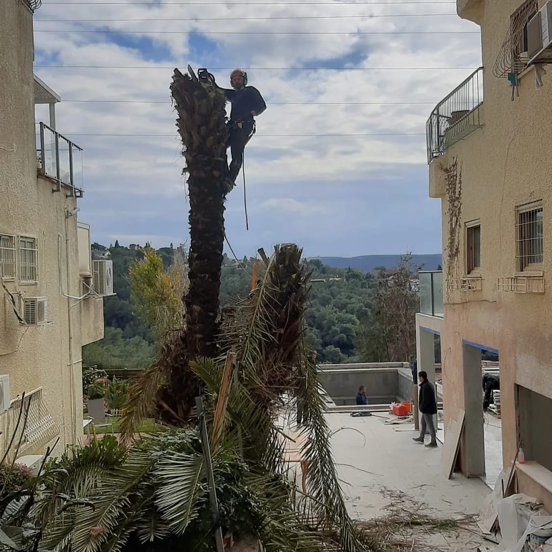 תמונה שצולמה להמחשת העבודות של פרח בגן תמונה של פרח בגן