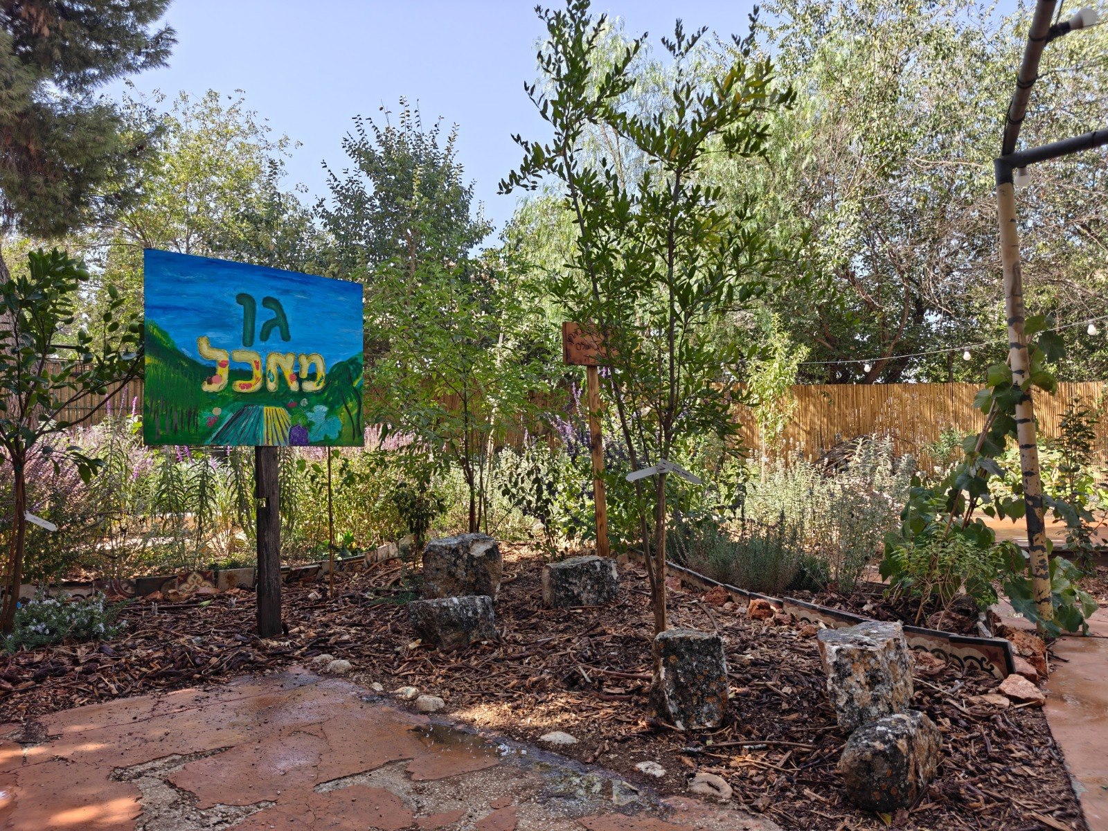 תמונה שצולמה להמחשת העבודות של פרג גינון אקולוגי תמונה של פרג גינון אקולוגי