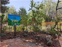 תמונה של פרג גינון אקולוגי