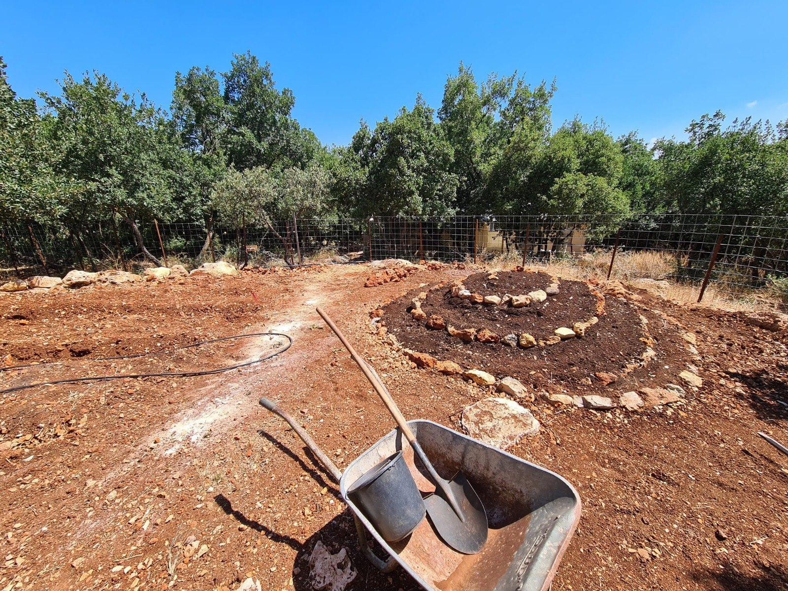 תמונה שצולמה להמחשת העבודות של פרג גינון אקולוגי תמונה של פרג גינון אקולוגי