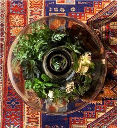 תמונה של פרג גינון אקולוגי