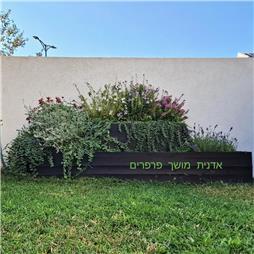 תמונה שצולמה להמחשת העבודות של פרג גינון אקולוגי תמונה של פרג גינון אקולוגי