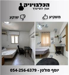 תמונה של הכלבויניק - אמן השיפוץ