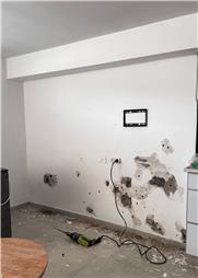 תמונה שצולמה להמחשת העבודות של הכלבויניק - אמן השיפוץ תמונה של הכלבויניק - אמן השיפוץ