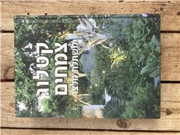 תמונה של ליאור וגמן שירותי גינון