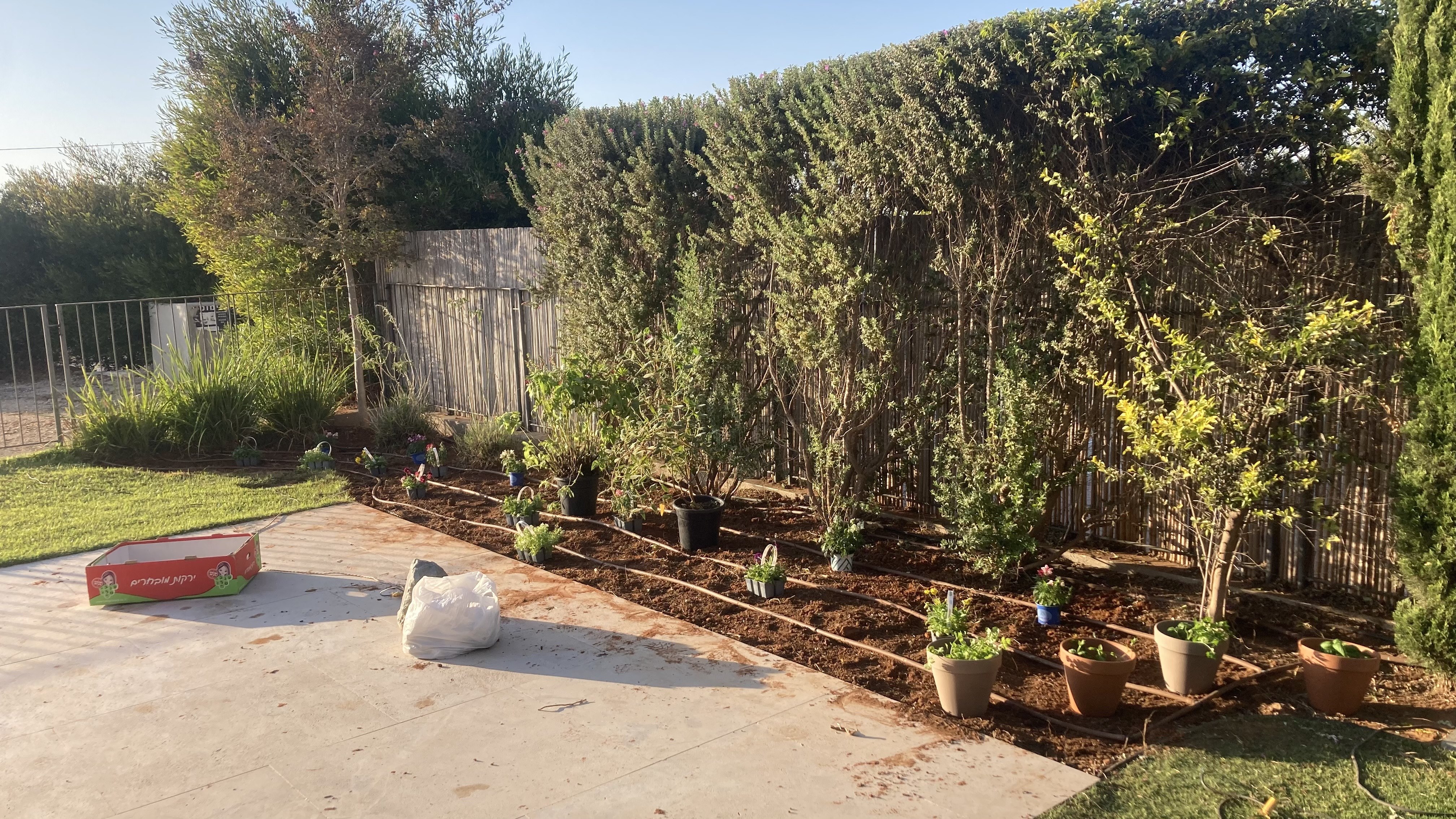 תמונה שצולמה להמחשת העבודות של ליאור וגמן שירותי גינון תמונה של ליאור וגמן שירותי גינון