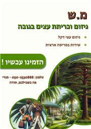 תמונה של מ.ש גיזום וכריתת עצים