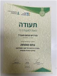 תמונה של מ.ש גיזום וכריתת עצים