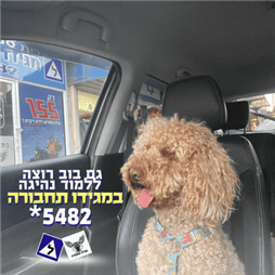תמונה של המרכז ללימודי נהיגה בישראל