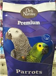 תמונה של R.K Pet Spa - ר.ק פט ספא
