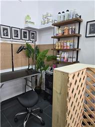 תמונה של R.K Pet Spa - ר.ק פט ספא