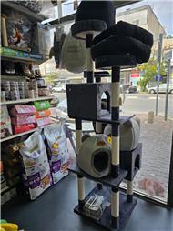 תמונה של R.K Pet Spa - ר.ק פט ספא
