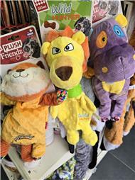 תמונה של R.K Pet Spa - ר.ק פט ספא