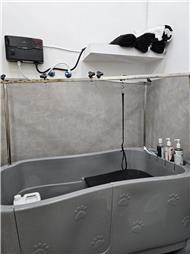 תמונה של R.K Pet Spa - ר.ק פט ספא