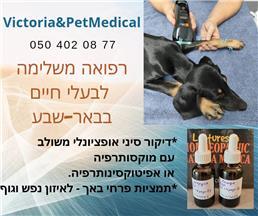 תמונה של רפואה משלימה ודיקור סיני לבע"ח Victoria & PetMedical