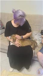 תמונה של רפואה משלימה ודיקור סיני לבע"ח Victoria & PetMedical