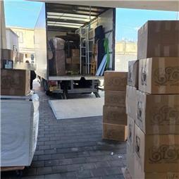 תמונה של גריזלי הובלות