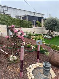 תמונה שצולמה להמחשת העבודות של fresh roots -גינון הקמה ותחזוקה תמונה של fresh roots -גינון הקמה ותחזוקה