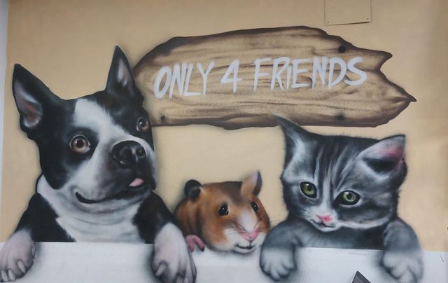 תמונה שצולמה להמחשת העבודות של only4friends אונלי פור פריינדס תמונה של only4friends אונלי פור פריינדס