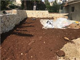 תמונה של וסים אבו נסרה
