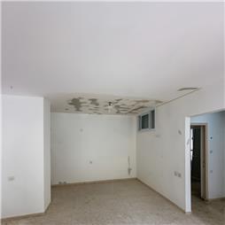 תמונה של ידידיה צביעה ועבודות גבס