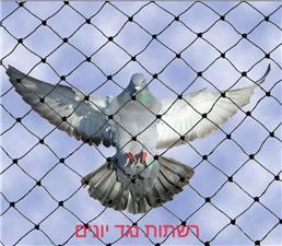 תמונה של שלו עבודות הנדימן