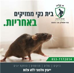 תמונה של א. טליה שרותי הדברה