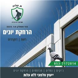 תמונה של א. טליה שרותי הדברה