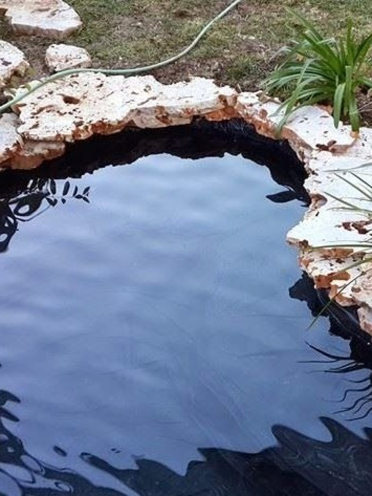 תמונה שצולמה להמחשת העבודות של הגן הקסום תמונה של הגן הקסום