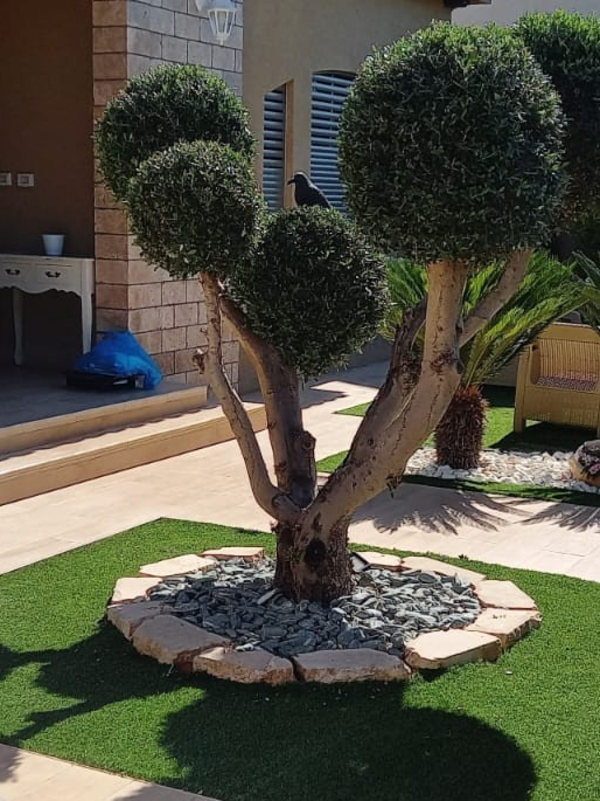 תמונה שצולמה להמחשת העבודות של הגן הקסום תמונה של הגן הקסום