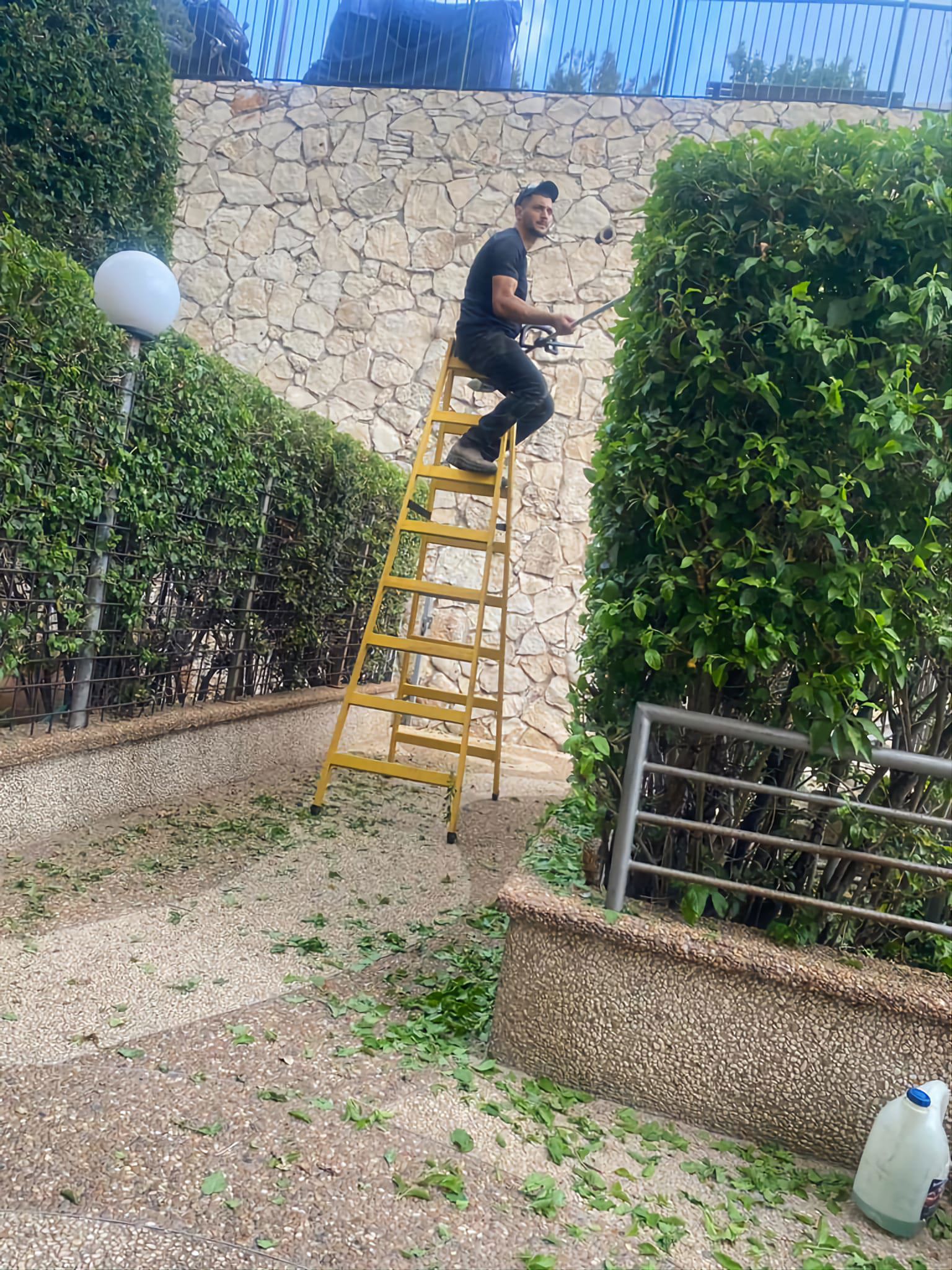 תמונה שצולמה להמחשת העבודות של מור עבודות גינון פיתוח הקמה ואחזקות תמונה של מור עבודות גינון פיתוח הקמה ואחזקות