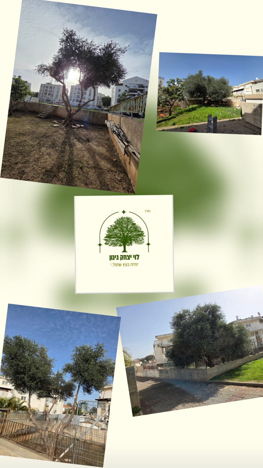 תמונה שצולמה להמחשת העבודות של לוי יצחק גינון תמונה של לוי יצחק גינון