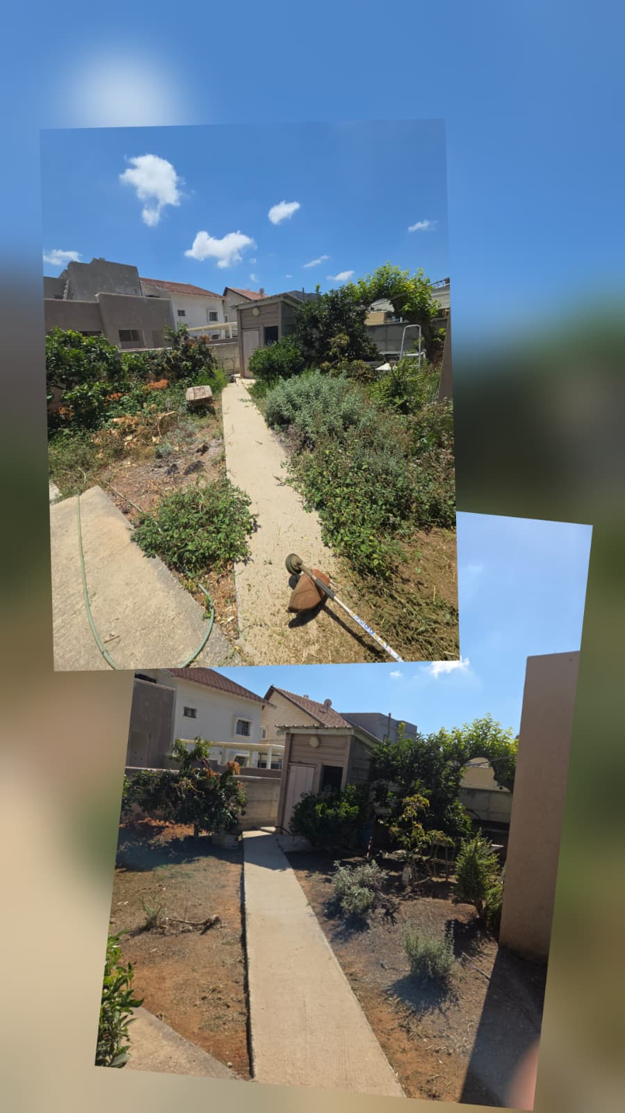 תמונה שצולמה להמחשת העבודות של לוי יצחק גינון תמונה של לוי יצחק גינון