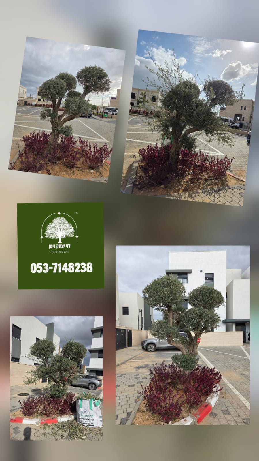 תמונה שצולמה להמחשת העבודות של לוי יצחק גינון תמונה של לוי יצחק גינון