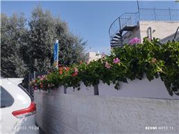 תמונה של נוף אחר