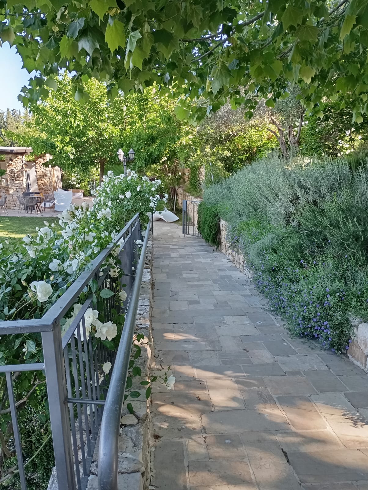 תמונה שצולמה להמחשת העבודות של נוף אחר תמונה של נוף אחר