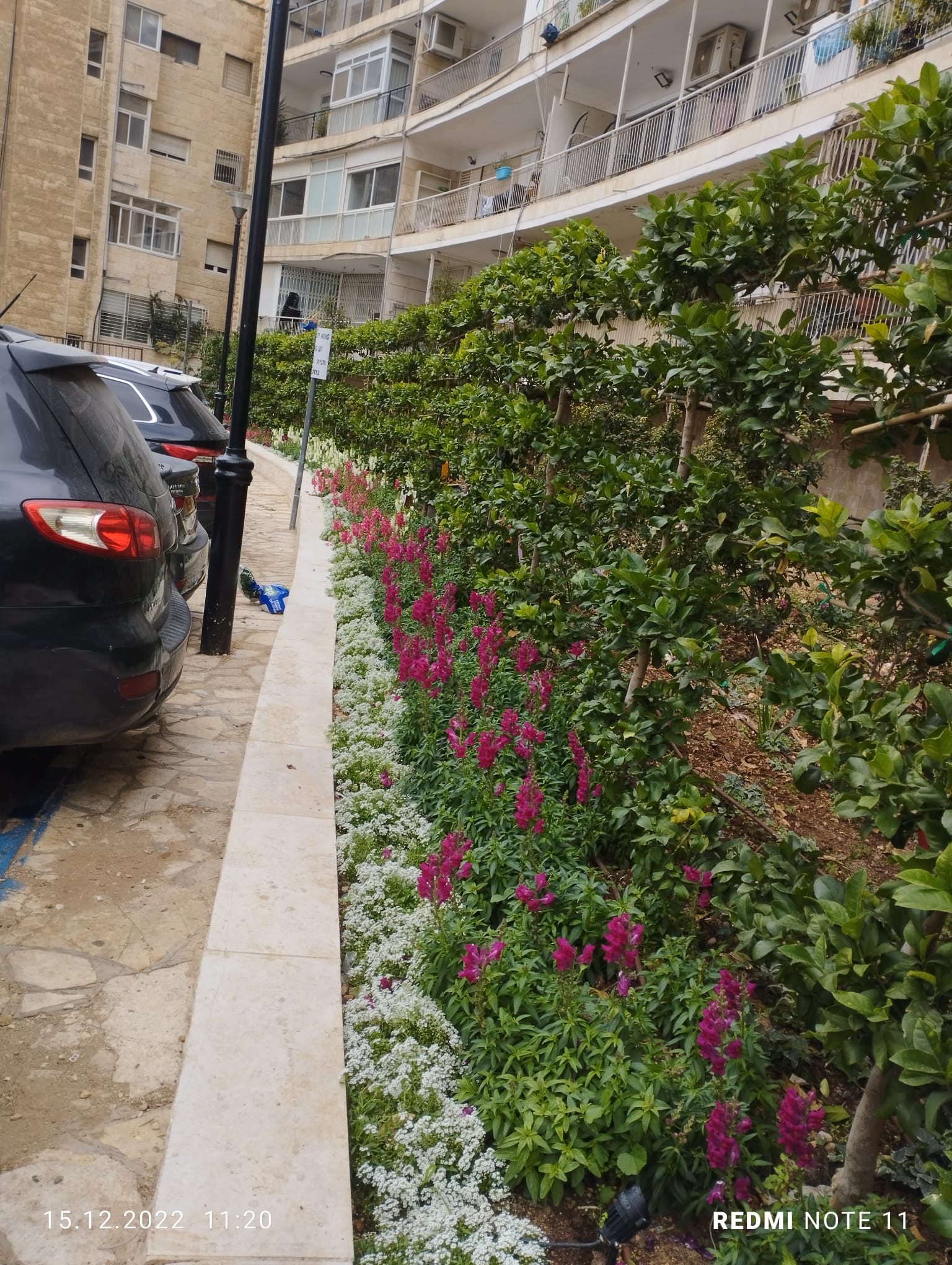 תמונה שצולמה להמחשת העבודות של נוף אחר תמונה של נוף אחר
